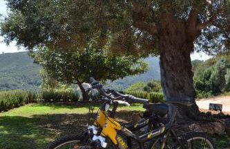 Augusta Country House - Foto 13