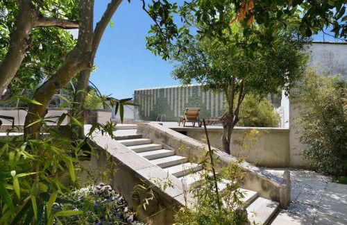 Jardim de Copas - Foto 22