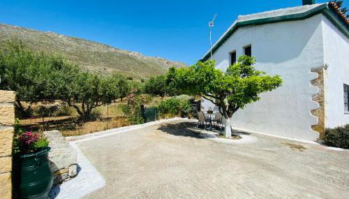 The Green Home - Foto 4