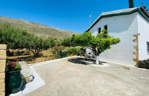 The Green Home - Foto 4