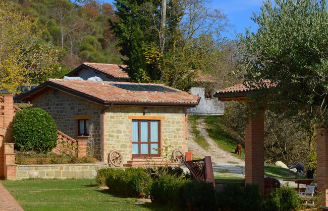 Agriturismo Il Beccafico Alpaca - Foto 25