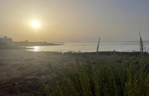 Ostuni Ayla Apartments - Foto 71