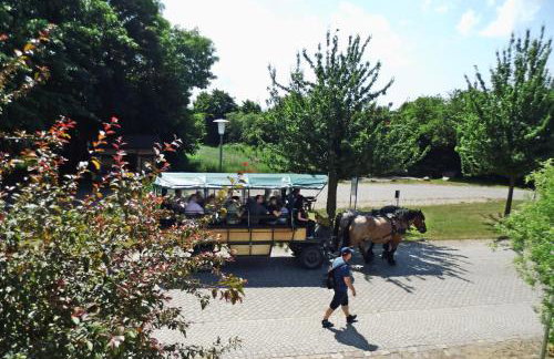 Blinkfüer am Kap Arkona - Foto 8