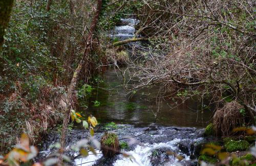 Casinha Rubiães - Foto 19