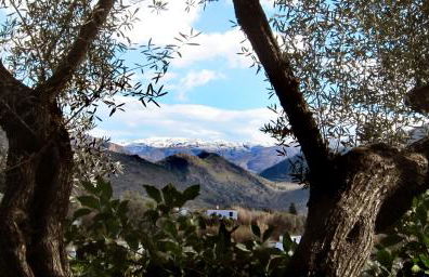 Casa Champasak - Foto 55