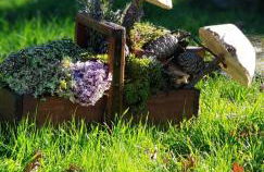 Quinta Damigo - Foto 1