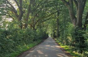 Wunderschöne Wohnung im Grünen - Foto 18