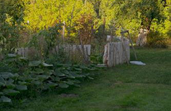 Przystawy Agroturystyka - Foto 26