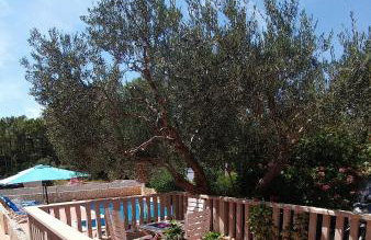 Apartments Antonio - Foto 115