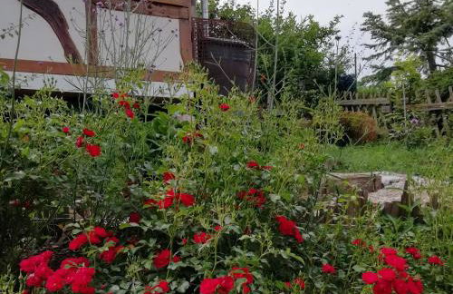 Ferienhaus am Kuhstall - Foto 25