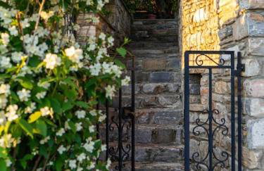 Andromachi - Foto 27