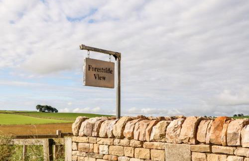 Forestside View - Photo 45