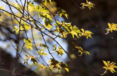 Parco Statella - Foto 64