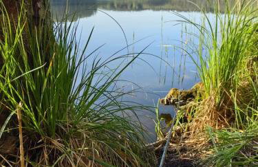 Mazury - Giżycko - Harsz - Domki - ApartMazury Osada - Foto 2