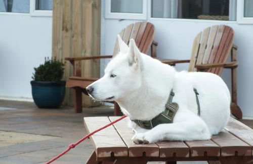 Poachers Pocket Seaview - Photo 21