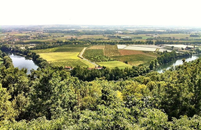 Herbert George Apartment Hotel - Foto 27