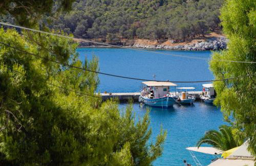 Casa olive - Foto 32