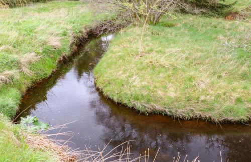Shepherds Burn Cottage - Foto 33