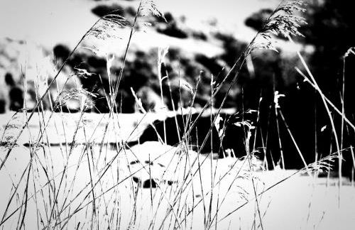 18 Church Street - Foto 37