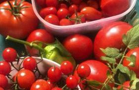 Schlossberg Apartments & Garten in der Natur & unweit vom "Thüringer Meer" - Foto 52