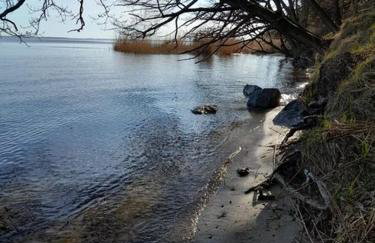 Apartamenty Pod Debem (Ferienwohnungen an der uralten Eiche) - Foto 19