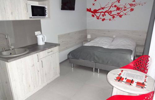 Apartamenty Wilczyca - Photo 21