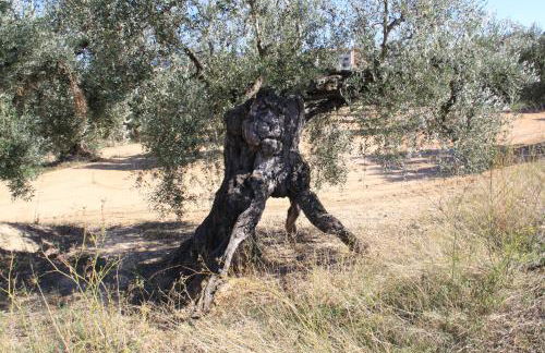 Vistas al mar - Foto 31