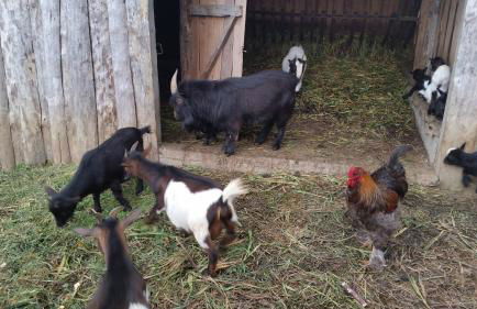 Casa Valxisto Country House - Foto 84