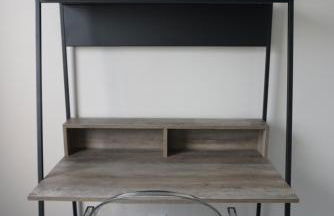 St Louis 2BD 2BA, Forest park, BJ Hospital, Science Center, eats - Foto 7