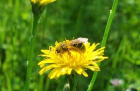 Domek "Mysze Góry" wypocznij za miastem blisko natury, Kaszuby w okolicy Trójmiasta - Foto 22