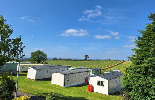 The Hummingbird - Photo 10