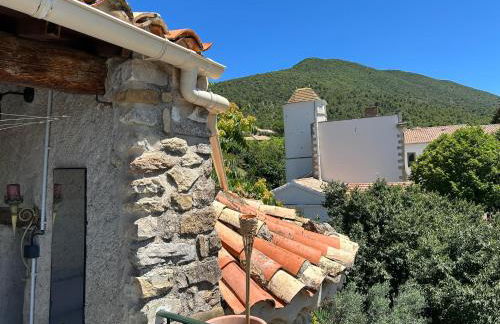 Maison de vacances La Bastide des Poètes Tour du Coridou - Foto 44