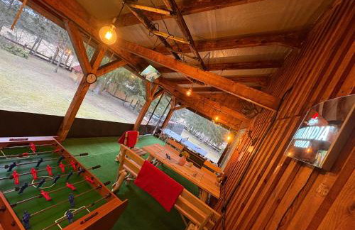 Igły i szyszki - Foto 26