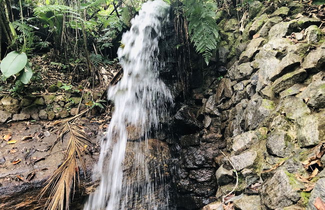 Hotel Bosques do Massaguaçu - Foto 67
