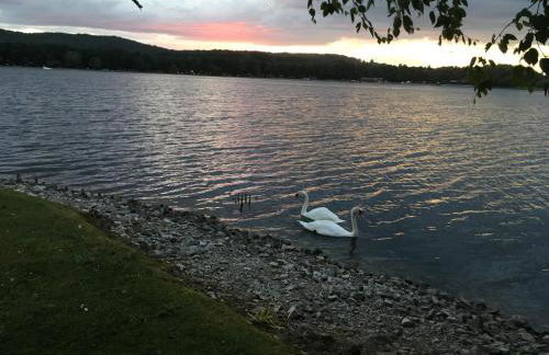 Tegid Lodge- Pine Lake Resort - Foto 27