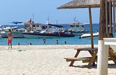 Aegean Paradise - Photo 22