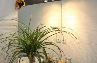 Les Coquelicots - Foto 13