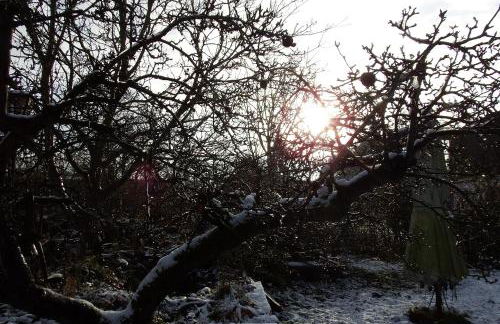 Ferienhof Rauchhaus - Foto 31