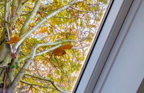 Plum Cottage Somerset - Foto 26