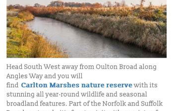 Pleasant Place - Foto 27