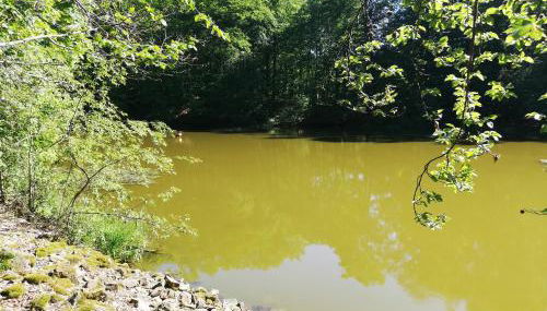 Haus Maria - Foto 5, Other