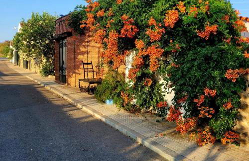 Complejo turístico El Soldado. - Foto 15