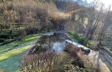 Idyllic country house & organic swim pond - Photo 41