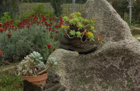 Agriturismo Su Solianu - Foto 37