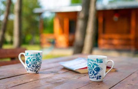 Zielony Zakątek - Foto 14