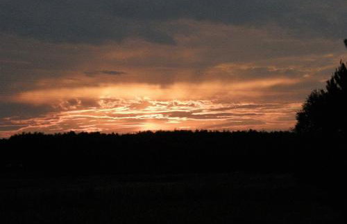 Agroturystyka "Bociek" - Foto 17