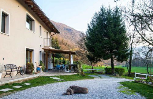 Cascina Canale - Foto 41