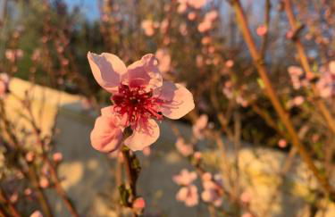 Magnifique vue sur la mer ... - Foto 69