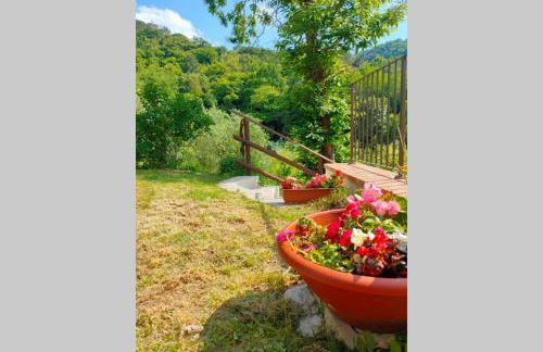 Villa con Piscina 10 Posti Letto, L'Oliveta Di Rivalto - Foto 32