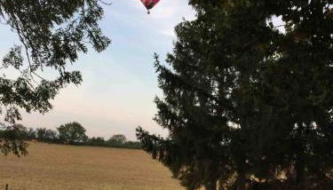La Bastoulie near Cordes-sur-Ciel - Foto 5